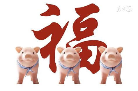 屬豬年份|屬豬今年幾歲 豬年是民國西元哪幾年